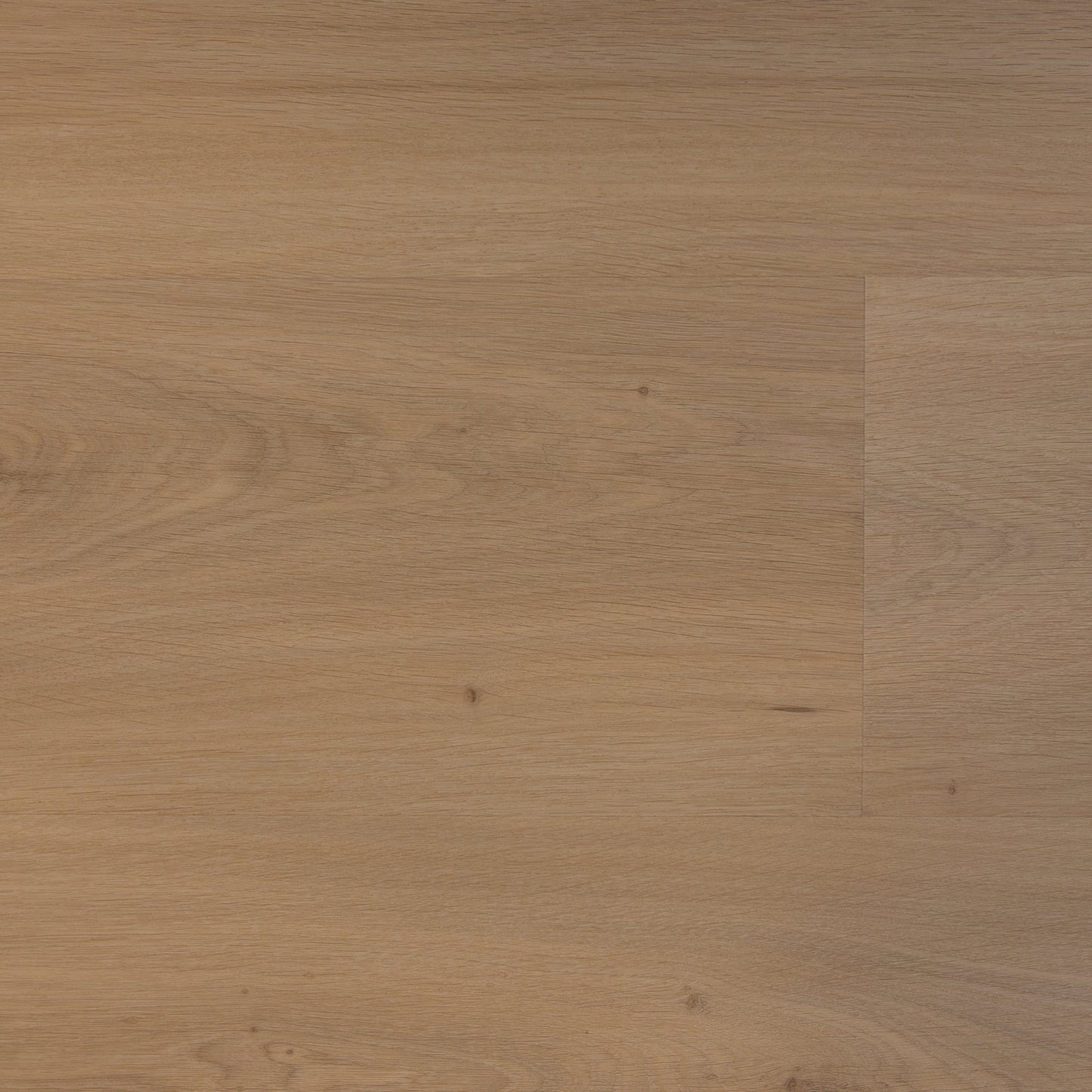Elegante Plank - Premier Beige - The Art of Living Collectie