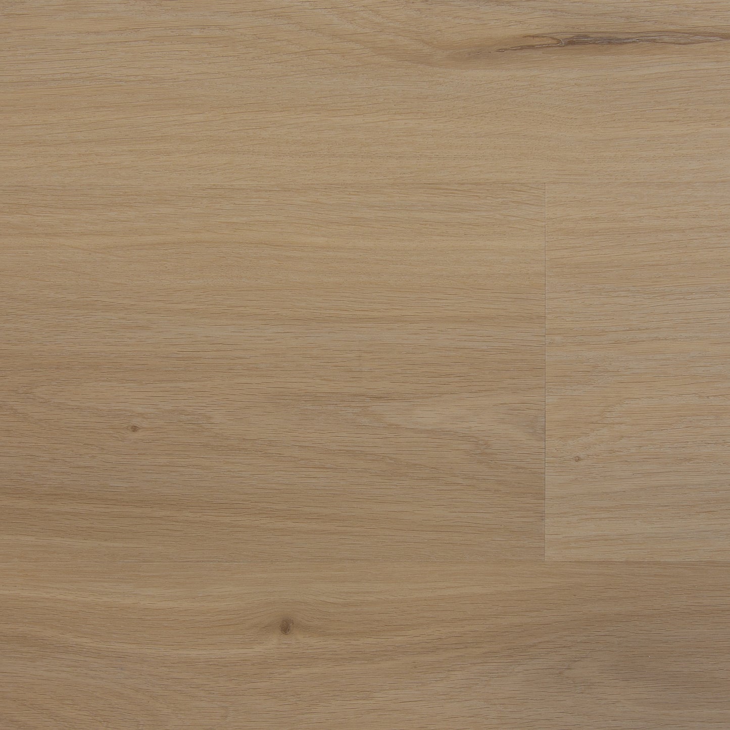 Elegante Plank - Premier Light Natural - The Art of Living Collectie