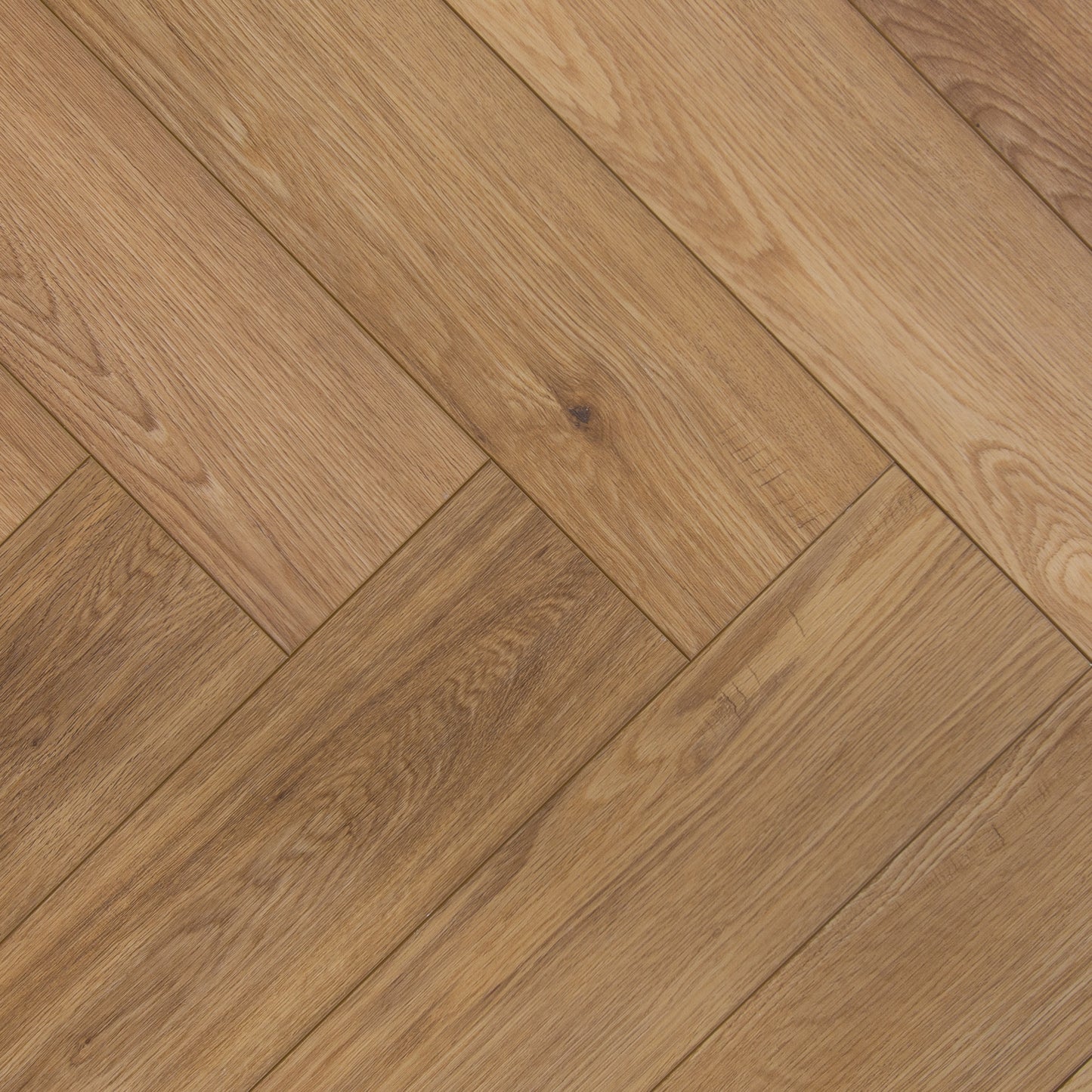 2024 - Aqua SPC - Memphis Eik