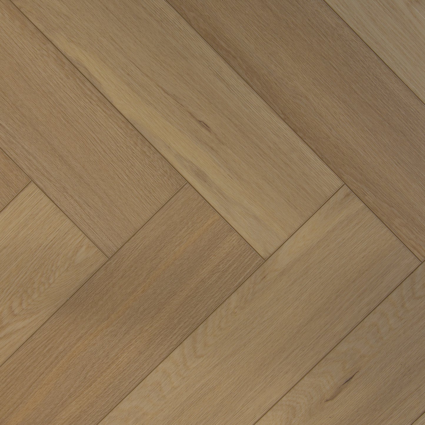 2024 - Aqua SPC - Pasadena Eik