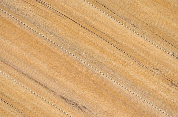 2024 - Aqua SPC - Ronda Eik