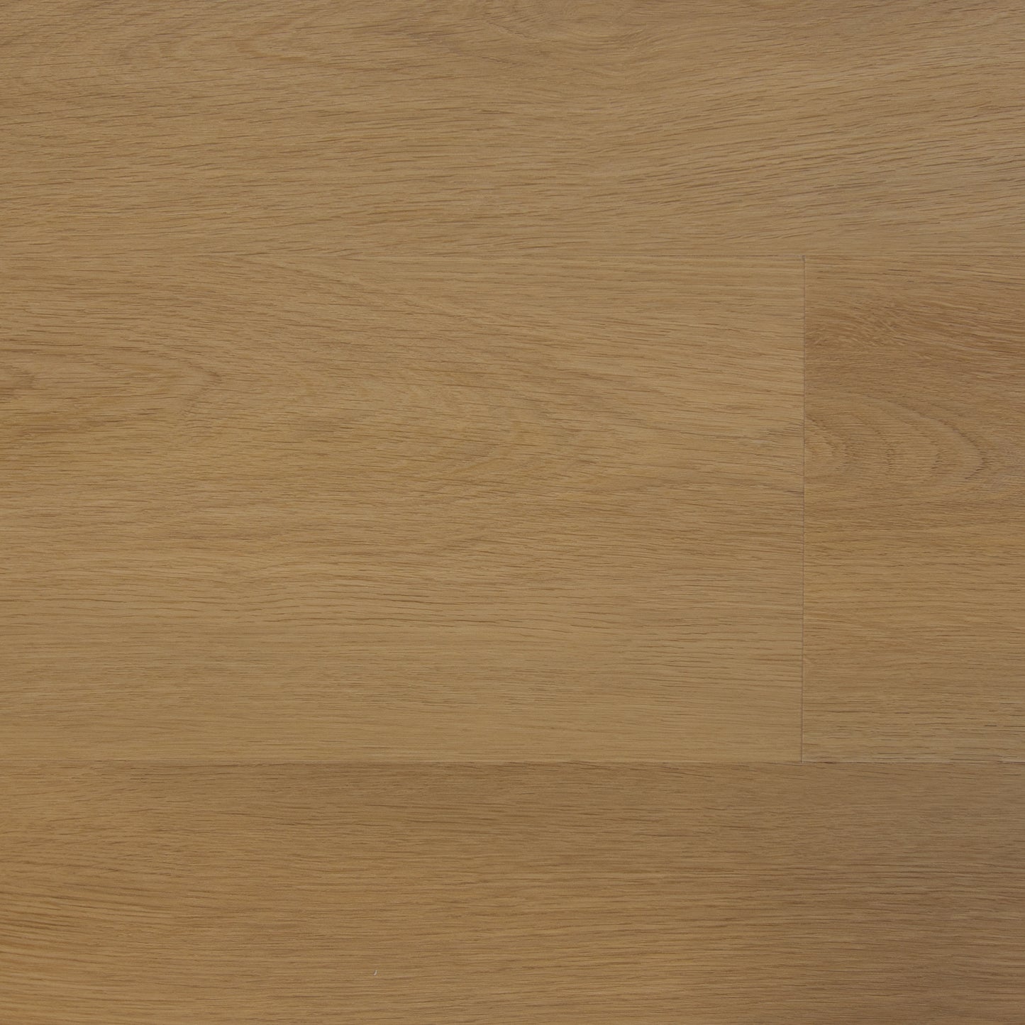 Elegante Plank - Select Honey - The Art of Living Collectie